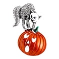 thumbnail image 1 of Esquirla Broche Mignonne Épingle Broche d'Halloween Mignonne pour Sacs à Dos Sacs Citrouille, 1 of 8