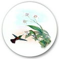 thumbnail image 2 of Designart - Vintage Hummingbird Flying To A Flower - Traditional Metal Circle Wall Art, 2 of 5
