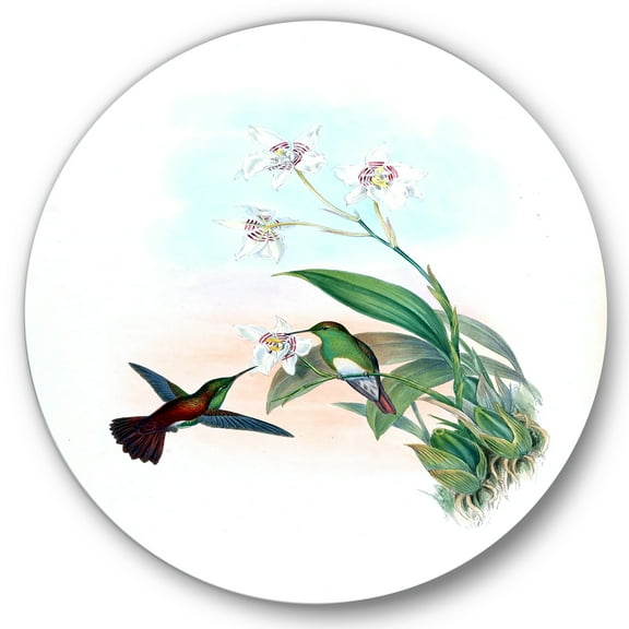 Designart 'Historic Hummingbird Flying To A Flower' Traditional Circle Metal Wall Art 36x36 - Disc of 36
