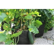 SMART POT 5 Gallon Fabric Grow Bag مع مقابض مقطوعة - أسود