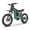 Green, variant on RIXOC GT60 Electric Dirt Bike for Adults,3000W Peak Motor up to 40MPH,60V 35AH Battery up to 75Miles,19"/1.6" Fat Tire Full Suspension E-Mountain Bike,APP Control,UL2849