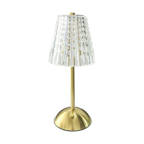 Home Accents 11 inch Acrylic and Metal Rechargeable Cordless LED Lamp with Shade, Clear