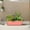 Pink, variant on koolsoo Flower Pot Window Box Planter Vegetable Planting Box Vegetable Flower Planters Boxes Gardening Nursery Pot for Balcony Porch Blue