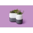 thumbnail image 4 of Chef'n Small Self Watering Ceramic Herb Planter, 4 of 5