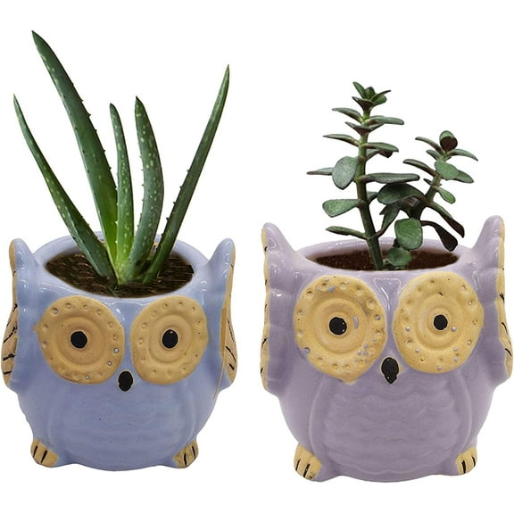 India Meets India Ceramic Planter, Owl Shaped [Multi-Color - 3.5 inch] - Ceramic Flower Pot/Indoor/Outdoor Pot, Set of 2 - by Awarded Indian Artisan