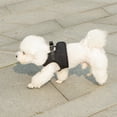 thumbnail image 2 of Mr. Peanut's PupTrek Small Dog/Cat Soft Mesh Step in Harness Vest, 2 of 9