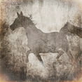 thumbnail image 2 of LightBoxJournal 12x12 Black Ornate Wood Framed with Double Matting Museum Art Print Titled - GypsyHorse Collection V2 7, 2 of 4