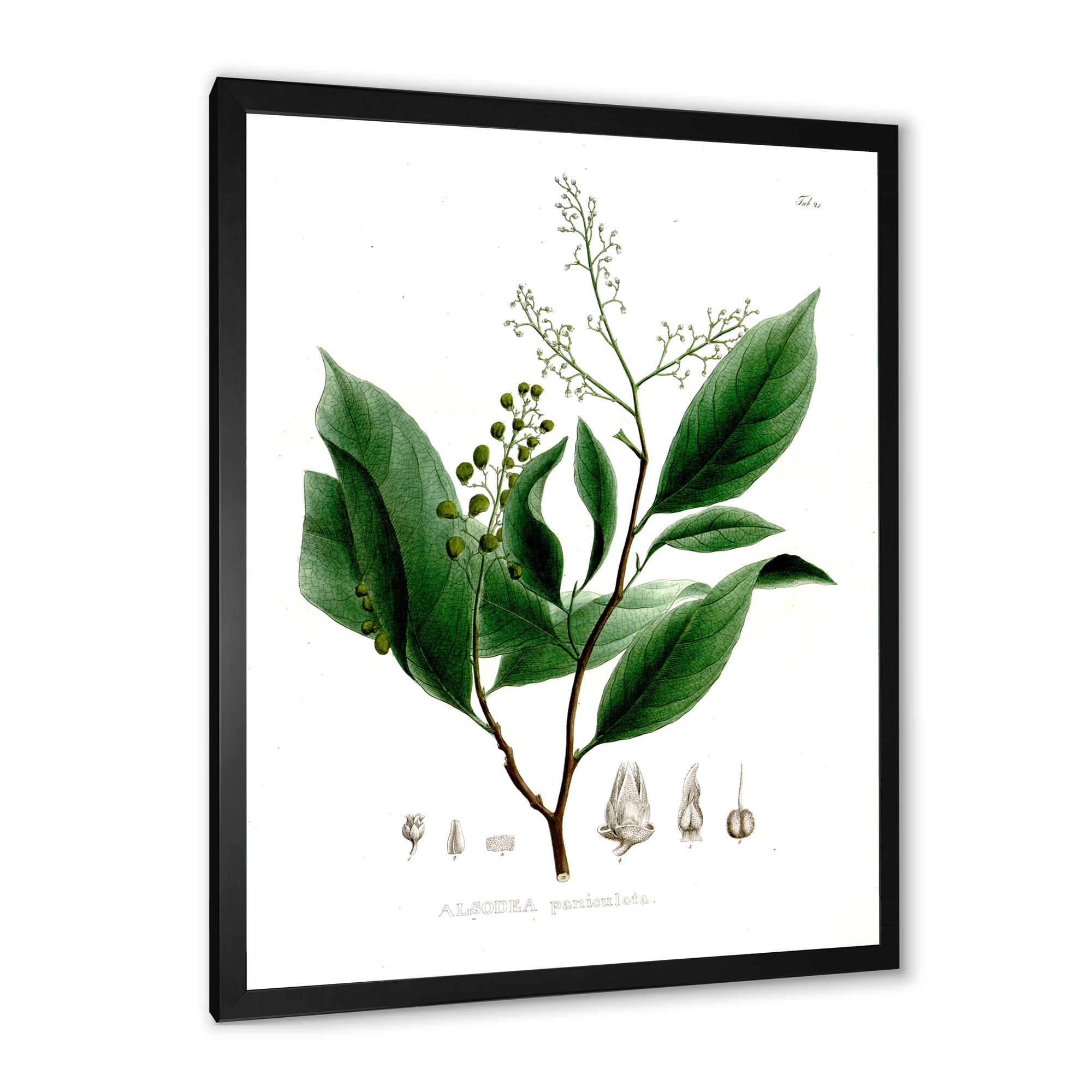 Designart 'Ancient Brazilian Plant II' Traditional Framed Art Print