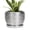 Silvery, variant on 6 inch Ceramic Planter Blue Glaze with Drainage Hole and Saucer for Orchids and Indoor Plants