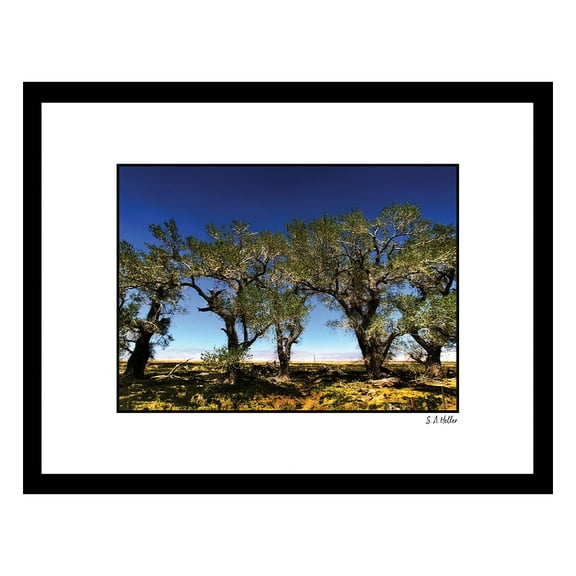 TREE LINE Framed Printed Photograph