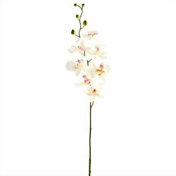 12 Pack: Cream & Pink Orchid Spray by Ashland®