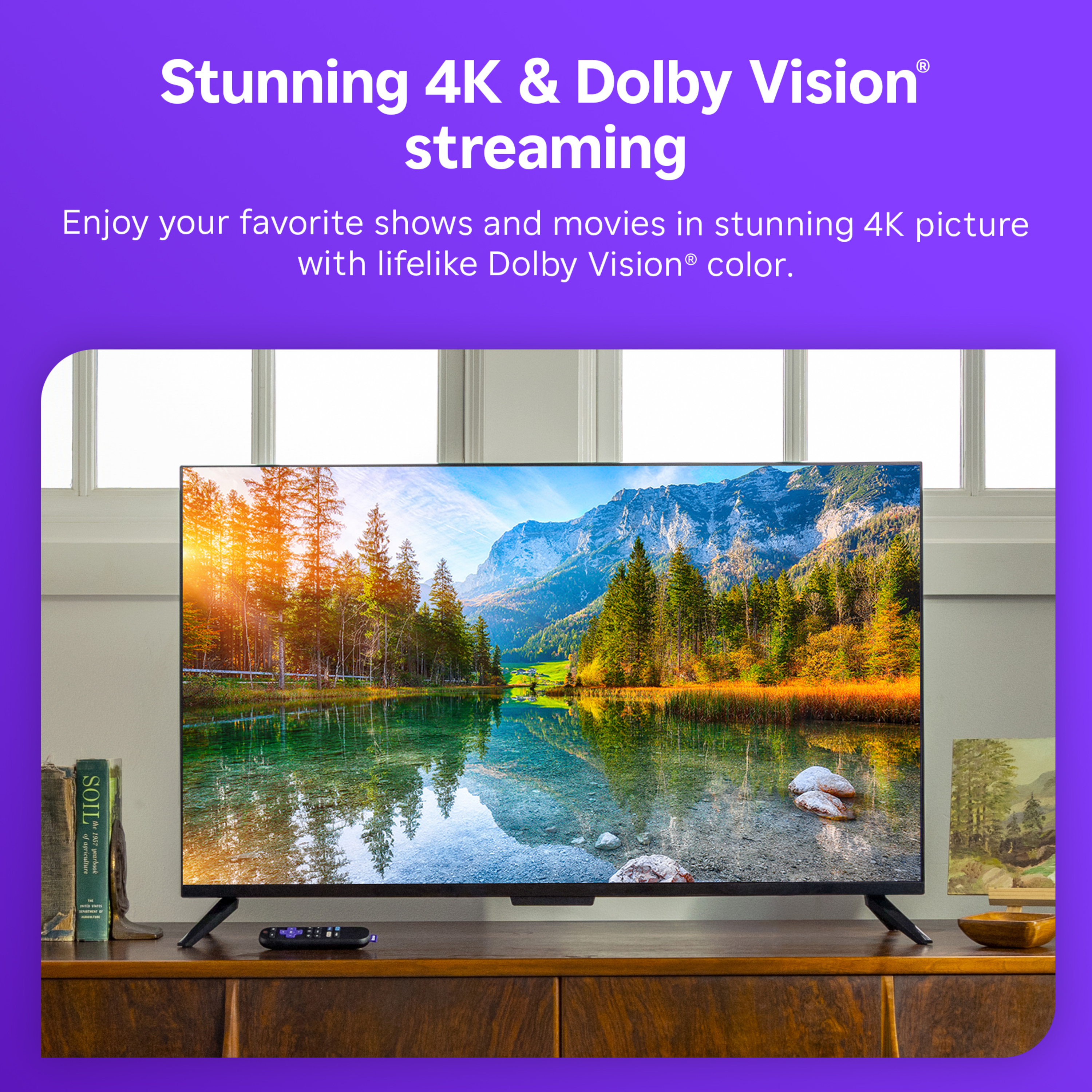 Roku Streaming Stick 4K HDR & Dolby Vision photo 4
