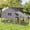 Gray, variant on Aivituvin 80.7" Chicken Coop Mobile Chicken House with Wheels Expandable Wooden Hen House Outdoor for 2-4 Chickens Grey
