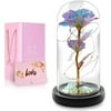 Home Express Rose Flower & Glass Dome Birthday Gifts for Women,Gift for Her Mom Mother Girlfriend Wife Daughter Teacher Mother's Day,Graduation,Anniversary,Christmas,Valentine's Day Decorations