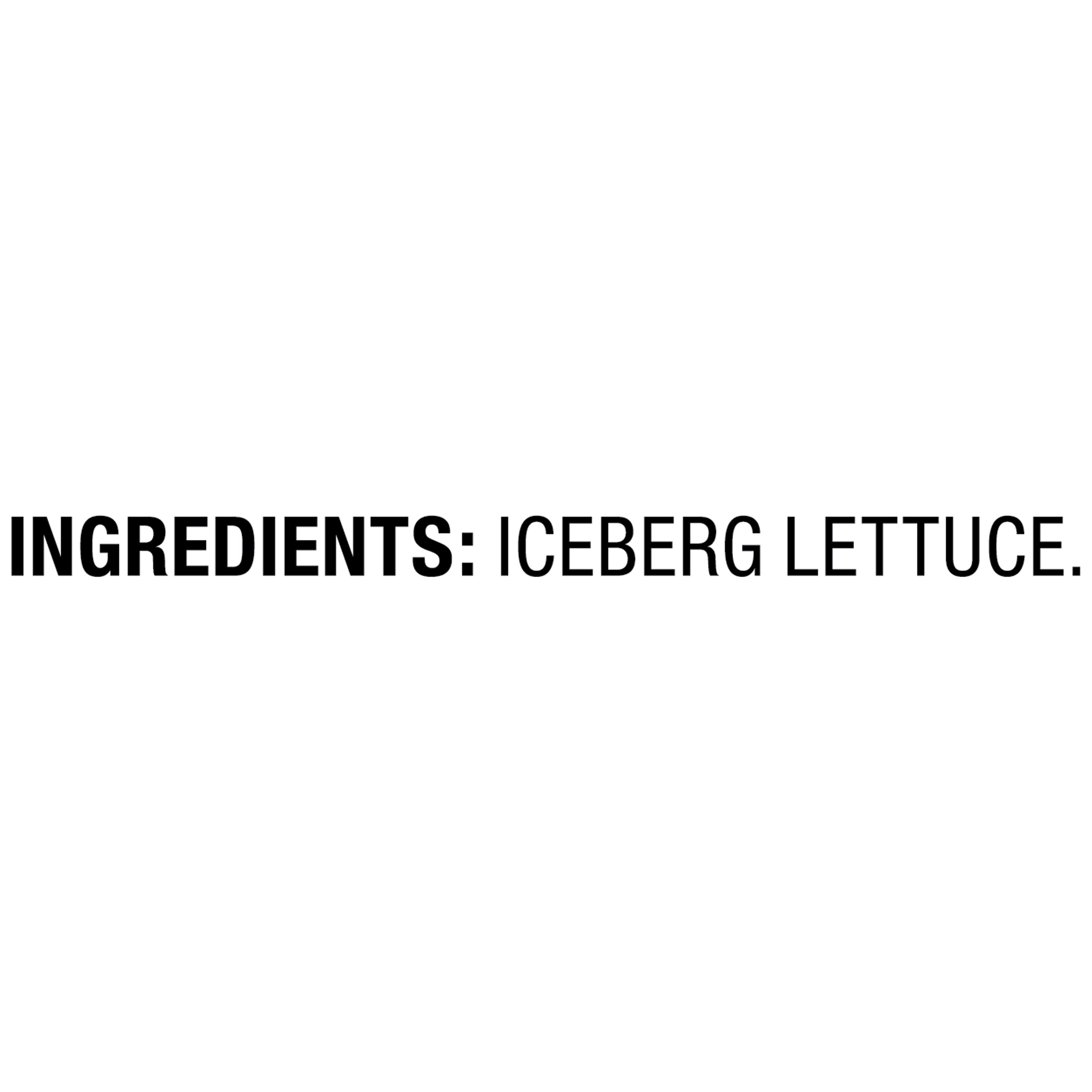 Marketside Fresh Shredded Iceberg Lettuce, 16 oz Bag
