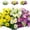 Multi(W+Y+P), variant on Morttic 12PACK Artificial Daisies Flowers Outdoor Fake Plants White Gerber Daisy Fake Foliage Greenery Faux Plants for Graves Hanging Outside Planter Window Box Wedding Decoration