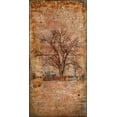 thumbnail image 2 of LightBoxJournal 9x14 White Modern Wood Framed Museum Art Print Titled - Autumn Tree Duo, 2 of 4