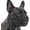 Black, variant on French Bulldog Muzzle, Soft Breathable Short Snout Dog Muzzle with Eye Hole Tongue-Out Pocket, Allow to Drink Feed, Stop Biting Chewing, Adjustable Frenchie Mouth Cover for Small Medium Dogs