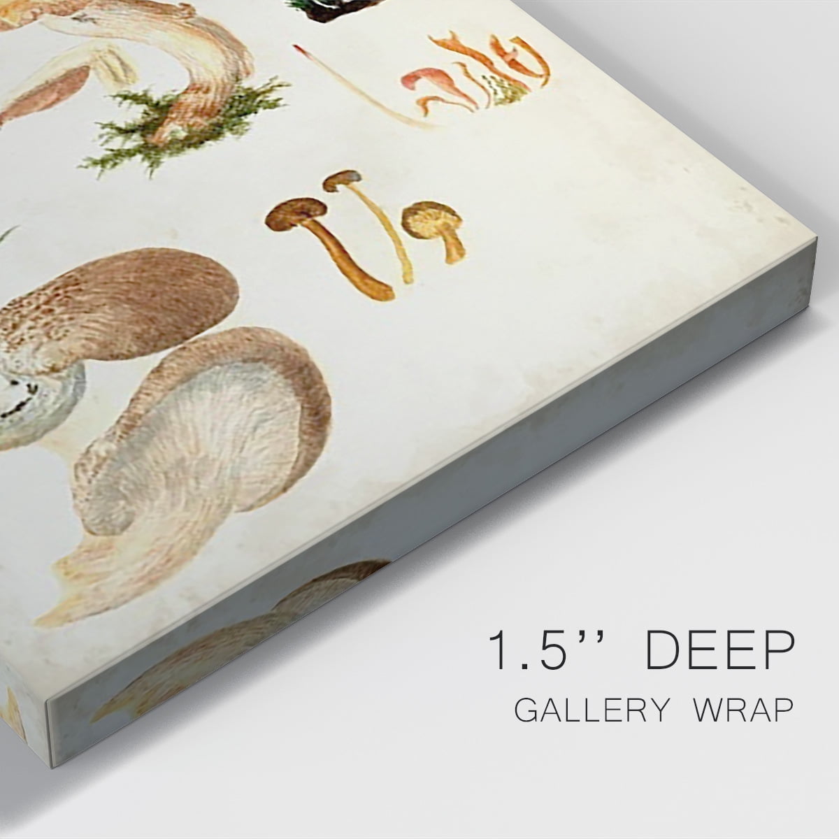 Mushroom Species IV Premium Gallery Wrapped Canvas - Ready to Hang