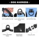 thumbnail image 4 of Arnés para perros PHOEPET Chaleco reflectante ajustable Baby Blue M, 4 of 6