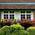 thumbnail image 7 of 4 Pcs Artificial Flowers Outdoor Impatiens Silk Impatiens Flowers 15.74" Yellow Faux Flowers Impatiens Bushes UV Resistant Artificial Impatiens for Pot Patio Lawn Garden Hanging Basket Porch Decor, 7 of 7