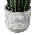thumbnail image 4 of Vickerman 17" Artificial Green Cactus Plant., 4 of 5