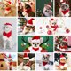 thumbnail image 5 of Conjunto navideño de gorros y capas navideñas para mascotas., 5 of 5