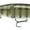 Green Gill, variant on Storm Arashi Glide Swimbait Threadfin Shad 7.5"