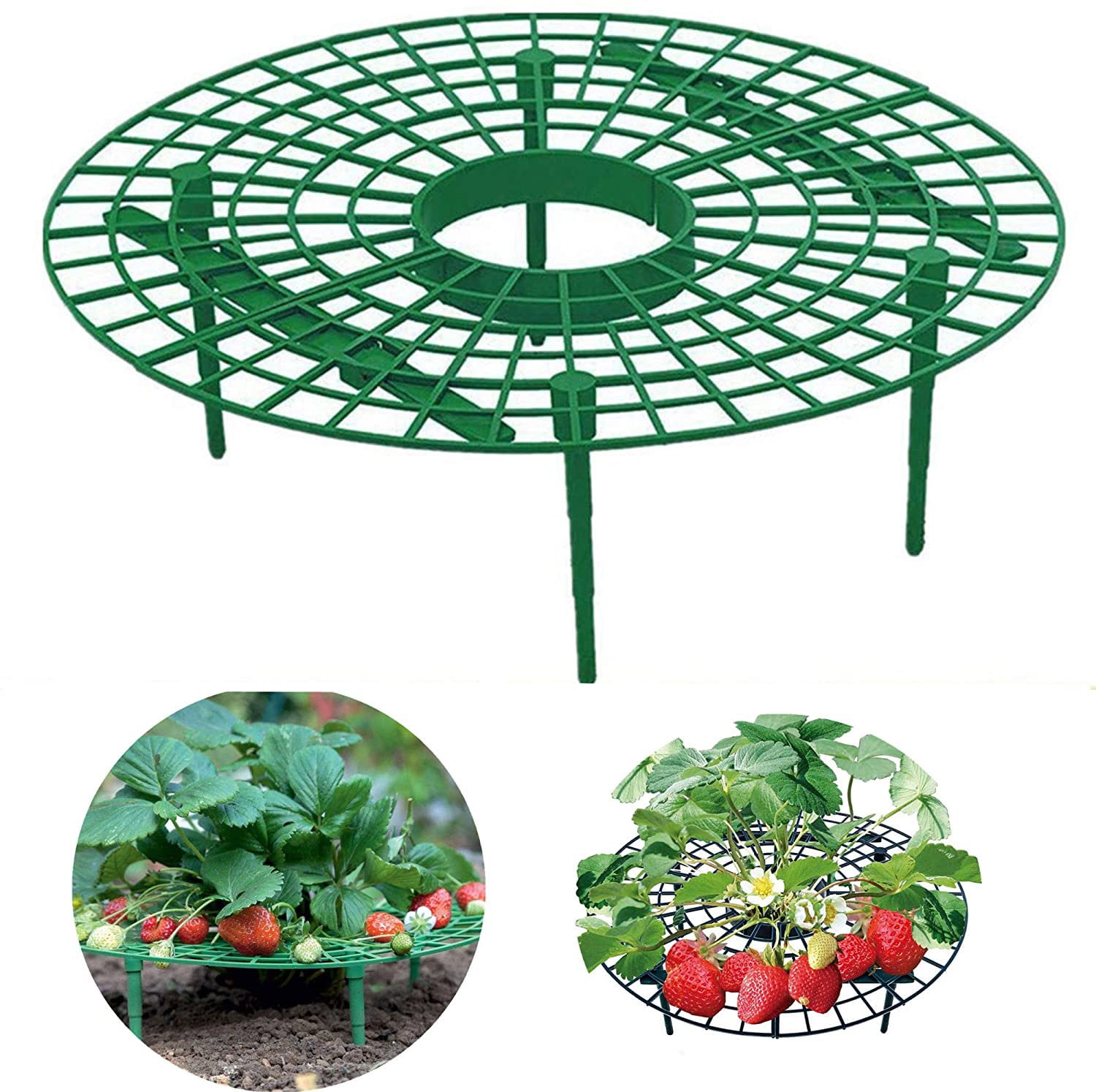 6 PCS Strawberry Supports +1piece Strawberry Huller Strawberry Growing