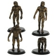 thumbnail image 1 of 4pcs Cognitive Toys Human Evolution Models Ape Evolution Model Teaching Tool Layout Props, 1 of 8
