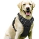 thumbnail image 3 of Rabbitgoo Arnés para Perros, Arnés para Mascotas sin Tirones con 2 Clips para Correa, Chaleco para Perros Acolchado Suave y Ajustable, Chaleco Oxford Reflectante para Mascotas sin asfixia con asa de f, 3 of 4