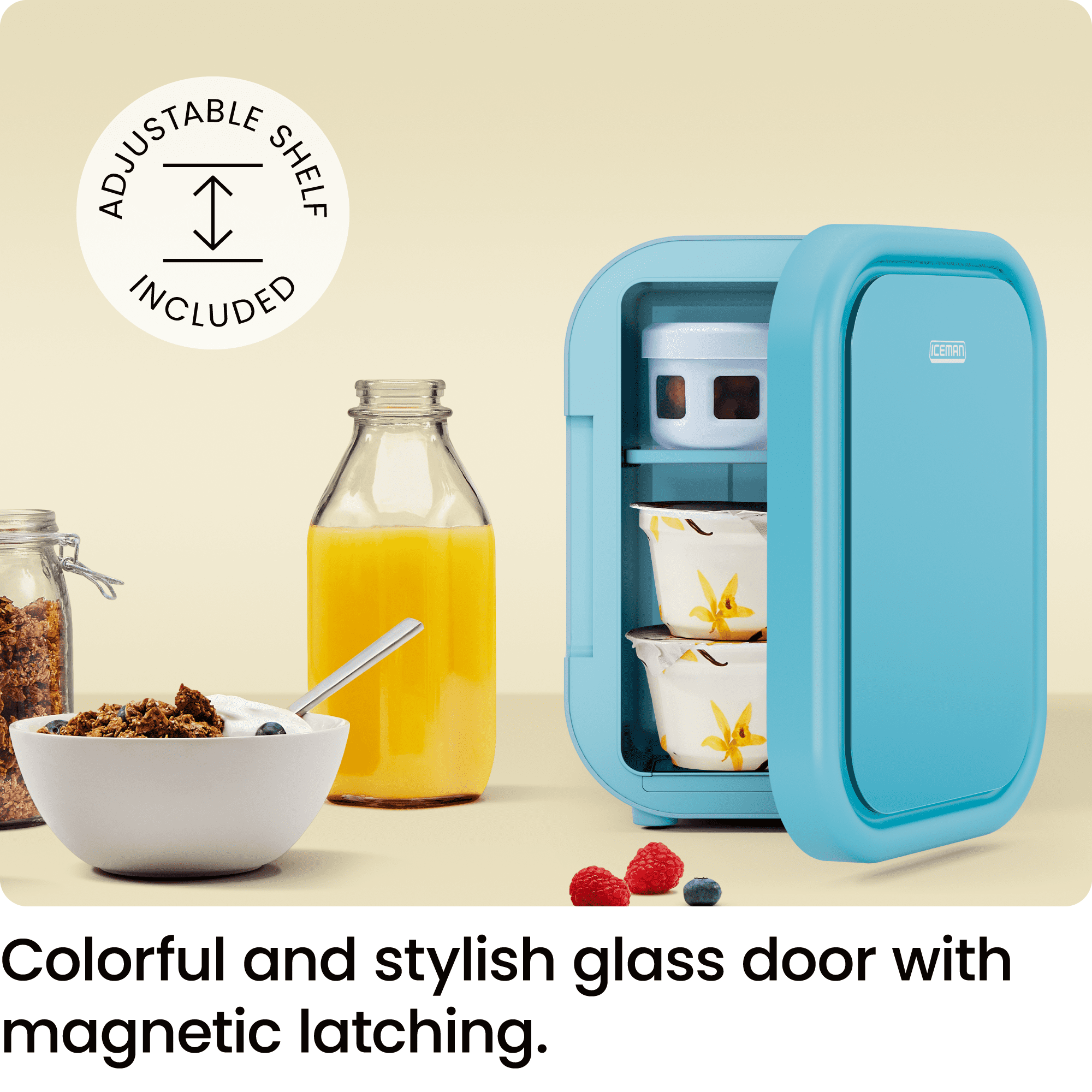 The Iceman Portable Mini Fridge 4L 6 Can Capacity