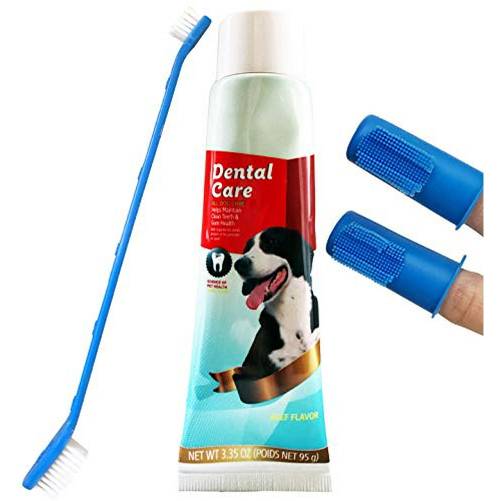 Best Toothbrush And Toothpaste For Puppy best-toothbrush-and-toothpaste-for-puppy