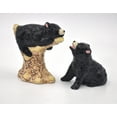Ceramic Black Bear Salt and Pepper Shakers Home Decor Kitchen Decor