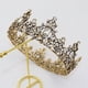 thumbnail image 3 of Nvzi Tiara de boda para novia, diadema de princesa, corona nupcial, joyería para el cabello con diamantes de imitación de cristal,graduación, boda, fiesta de disfraces (D), 3 of 4