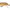 Brown Trout, variant on Rapala Countdown Minnow 07 Fishing Lure 2.75" 1/4oz Trout