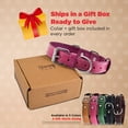 thumbnail image 3 of DowgClub Leather Dog Collar with Double D Rings - Handmade Full Grain Leather for Small Dogs, Pink, 3 of 6