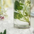 thumbnail image 5 of Efavormart 6 Pack | 14" Round Heavy Duty Clear Cylinder Glass Vases, Tall Flower Vase, 5 of 11