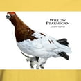 thumbnail image 3 of CafePress - Willow Ptarmigan Light T Shirt - Men's Classic Graphic T-Shirt, 3 of 4