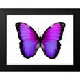 thumbnail image 2 of Bosco, Julia 24x19 Black Modern Framed Museum Art Print Titled - Vibrant Butterfly IV, 2 of 5