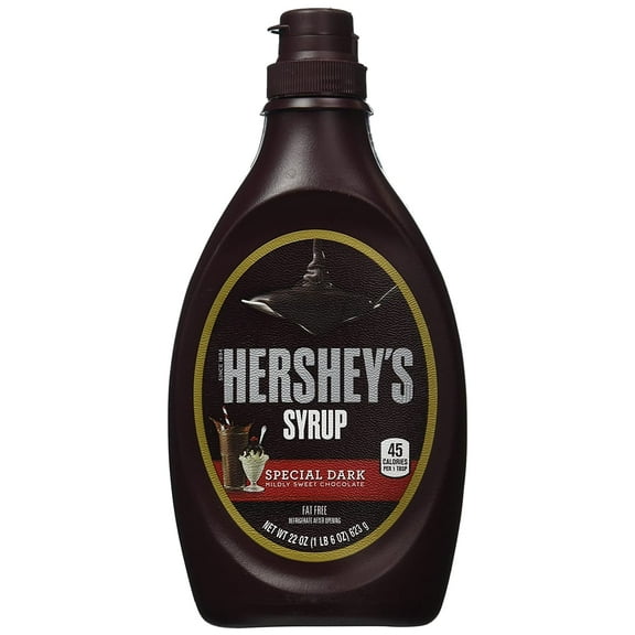 Hersheys Special Dark Syrup Bottle - 22 oz