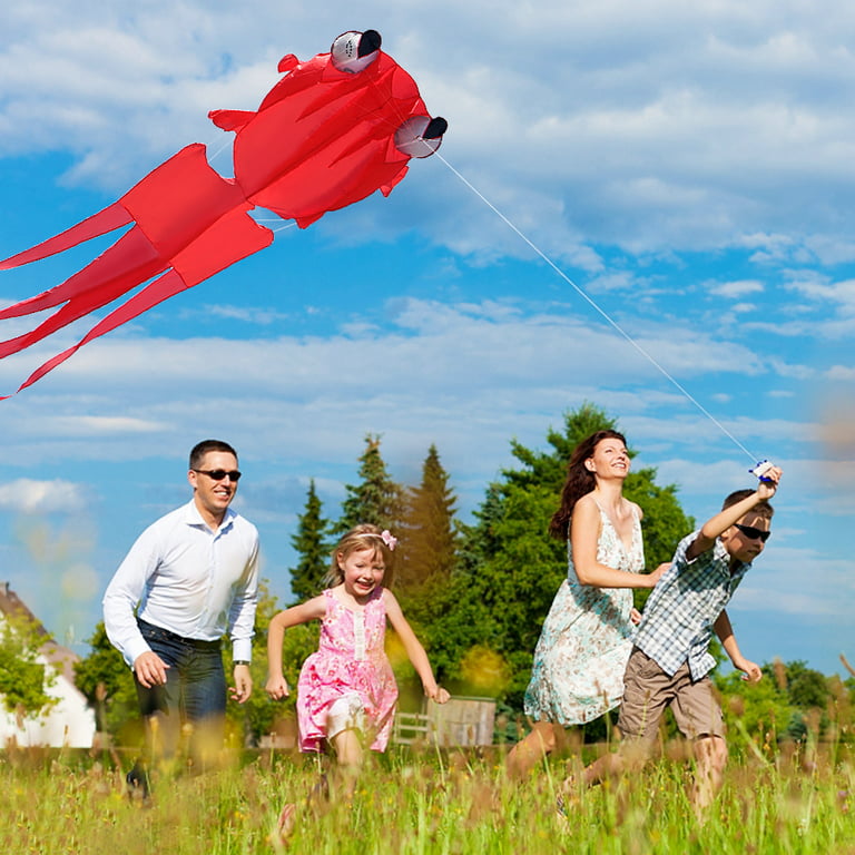 3D Kite for Kids and Adults Huge Frameless Soft Parafoil Giant Kite with  30m String