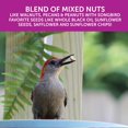 thumbnail image 4 of Alimento para aves Pennington Ultra Double Nut mezcla de nueces y frutas 4,5 kg, 4 of 8