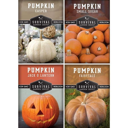 Pumpkin Seeds 4 Variety Pack - Full Sun Annual Vegetable Collection