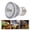 Silver 220V 5.0, variant on YAHHU Turtle Basking Light Bulb, UVA UVB Reptile Heat Lamp, Full Spectrum LED Replacement, 110V Silver 5.0, Sun Basking Lamp for Turtles Lizards Snakes (3.15 inches / 8 cm Length)