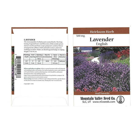 Common English Lavender Flower Garden Seeds - Perennial Herb Gardening Seeds - Lavandula angustifolia (500 Mg Packet), Lavender Seeds .., By Mountain Valley Seed Company Ship from