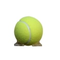 thumbnail image 5 of Better Display Cases Clear Acrylic Cricket Ball Wall Mounted Floating Shelf Bracket (SP227), 5 of 5