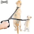 thumbnail image 1 of Double Dog Leash, 360 Rotation Tangle Free, Dog Walking Leash, Fits 2 Dogs Up To 200 Pounds, Black, Large, 1 of 3