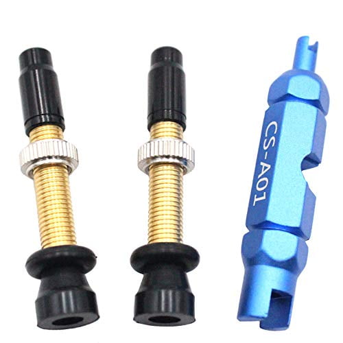 different bike valve stems