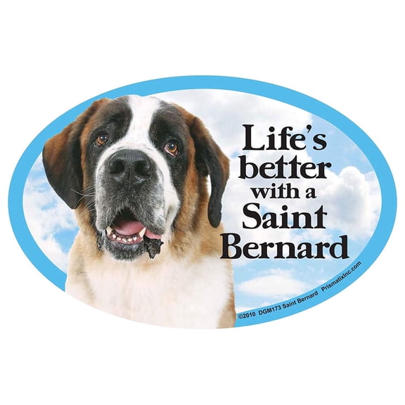 Prismatix Saint Bernard Oval Dog Magnet – 6 x 4 in, Full Color